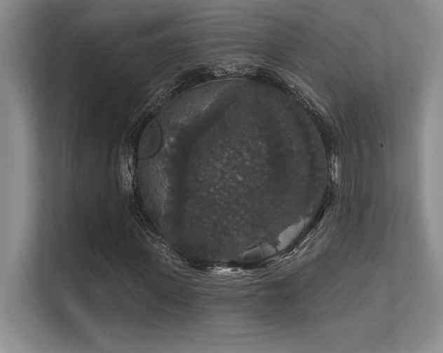 X0000112430915200908141428