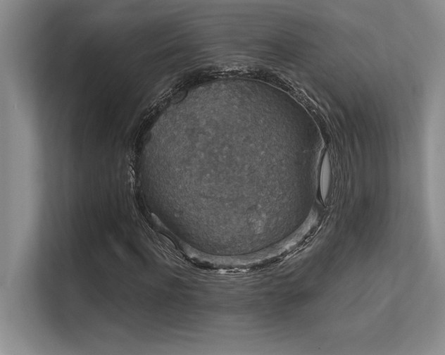 X0000112430916200908141428
