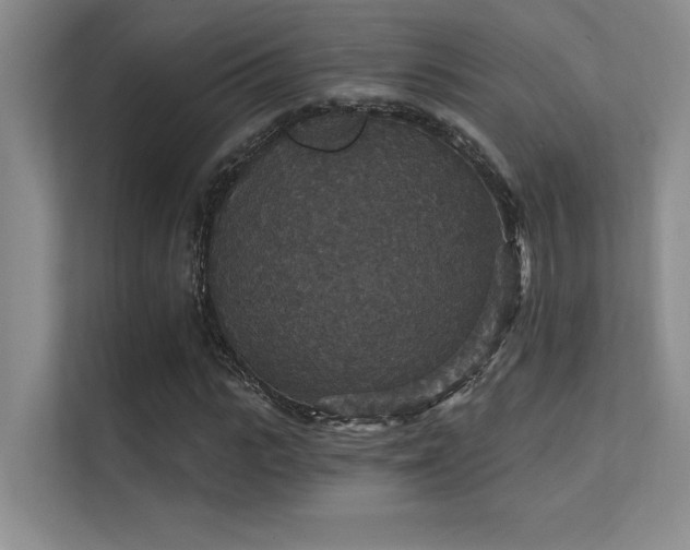 X0000112430919200908141428