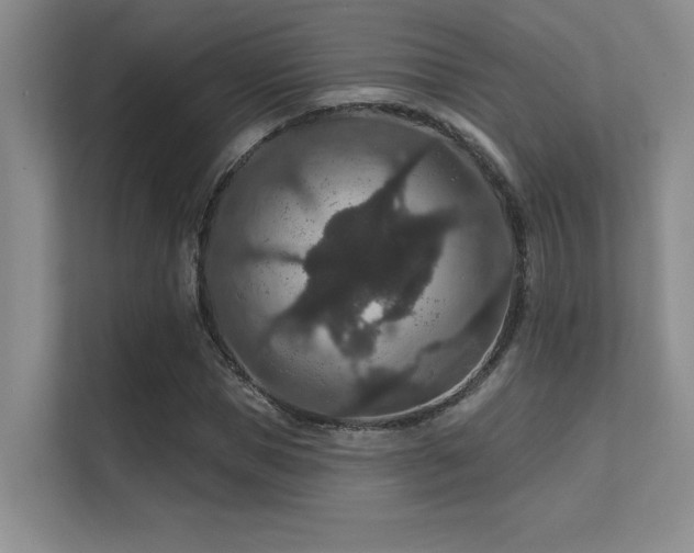 X0000112430921200908141428