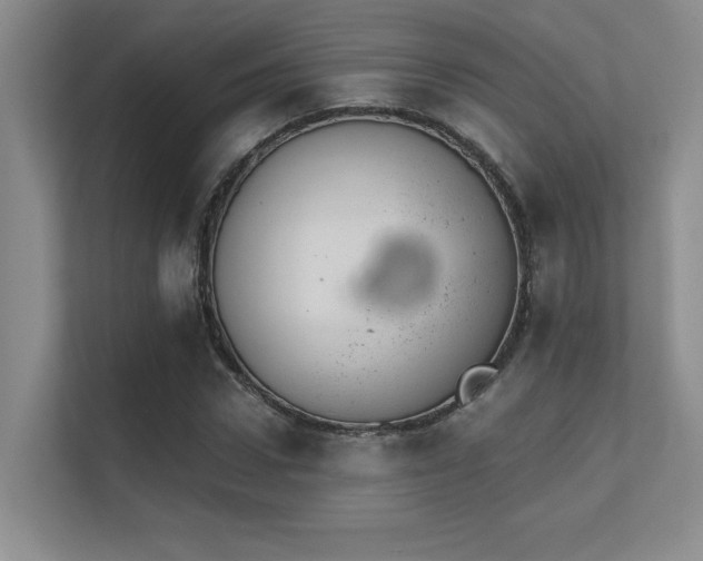X0000112430922200908141428