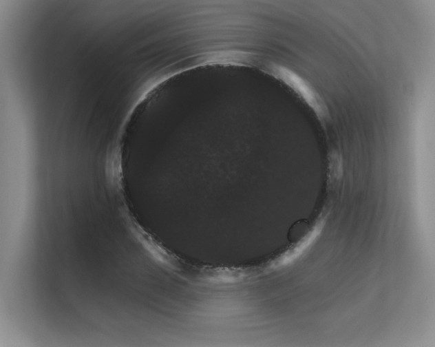 X0000112430923200908141428