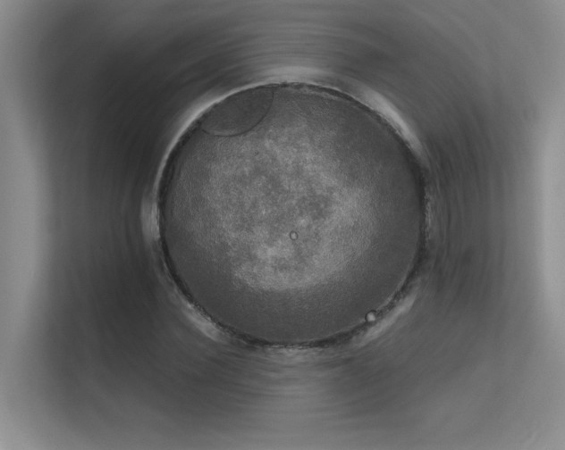 X0000112430924200908141428
