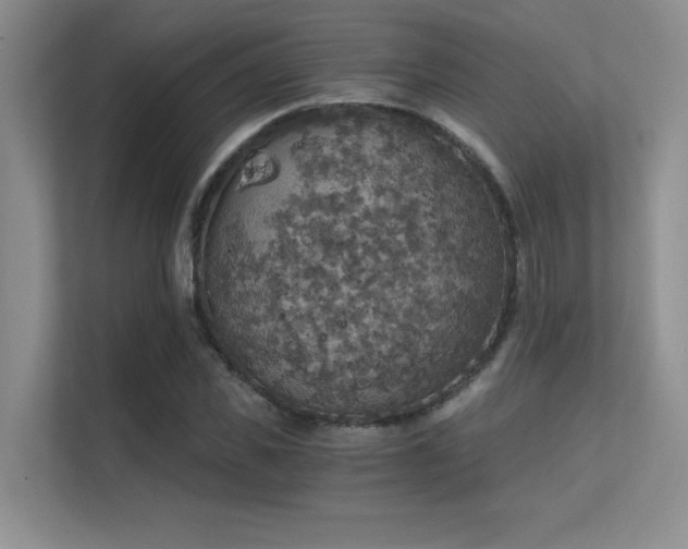 X0000112430925200908141428