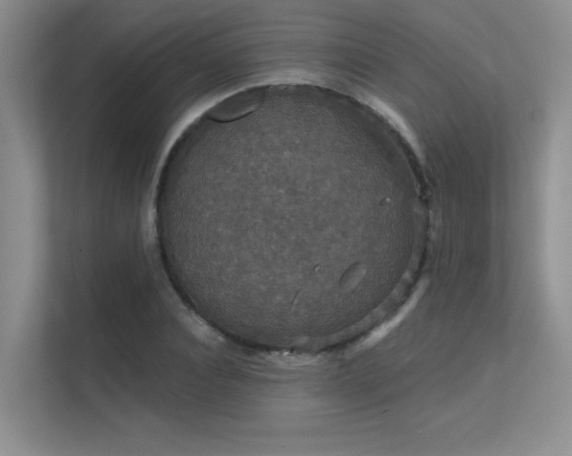 X0000112430928200908141428