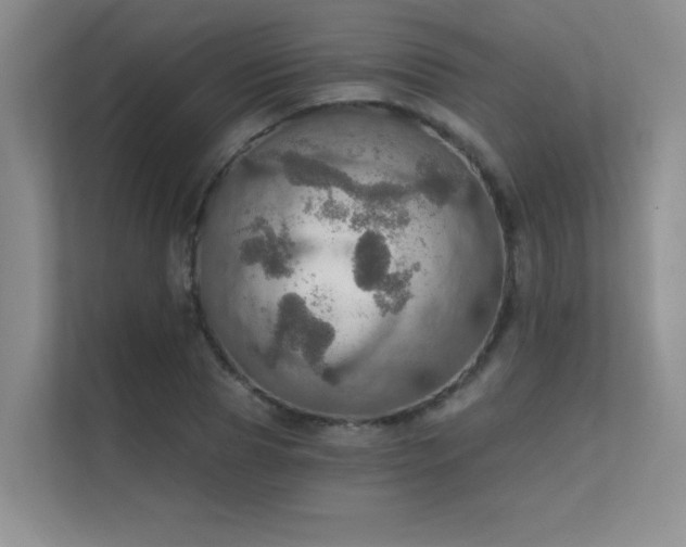 X0000112430929200908141428