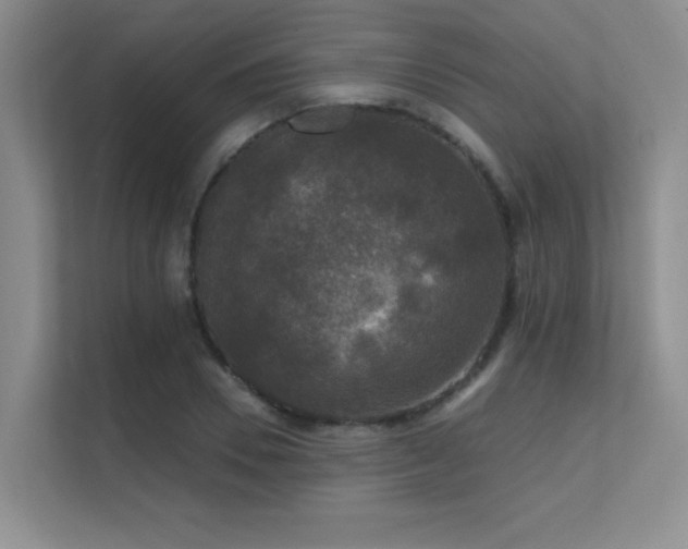 X0000112430930200908141428