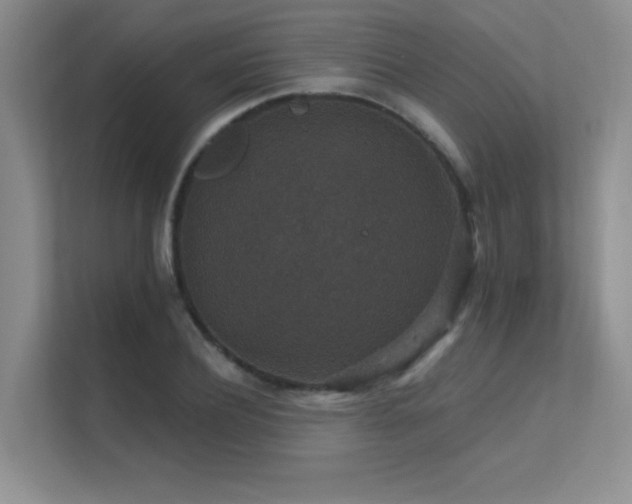 X0000112430932200908141428