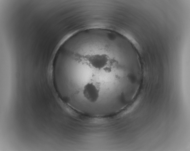 X0000112430933200908141428
