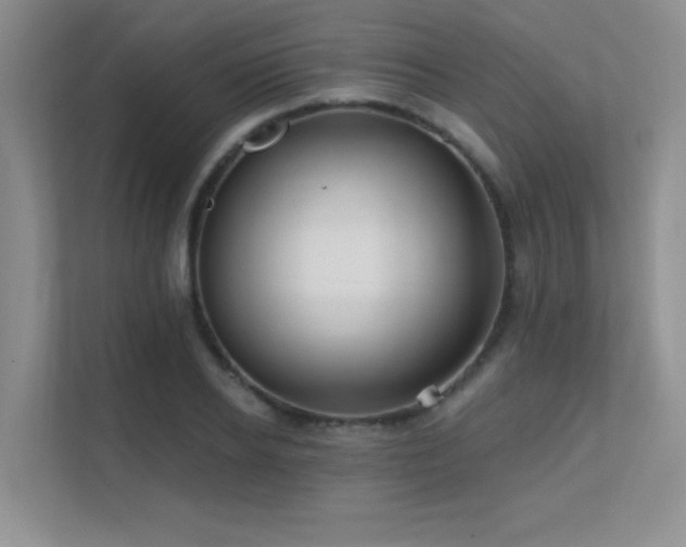 X0000112430934200908141428