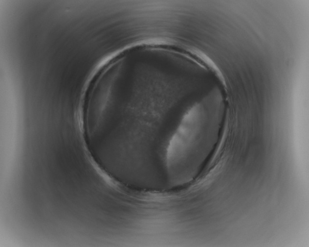 X0000112430935200908141428