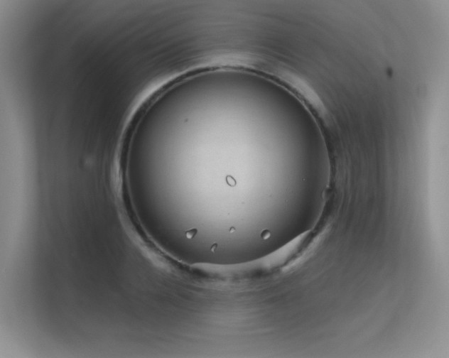 X0000112430936200908141428