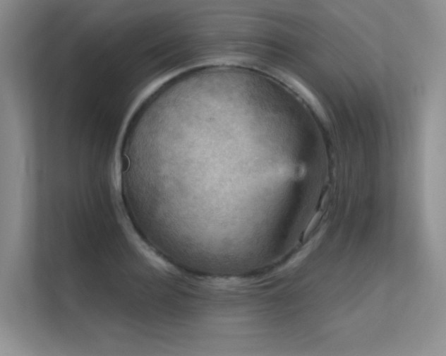 X0000112430940200908141428