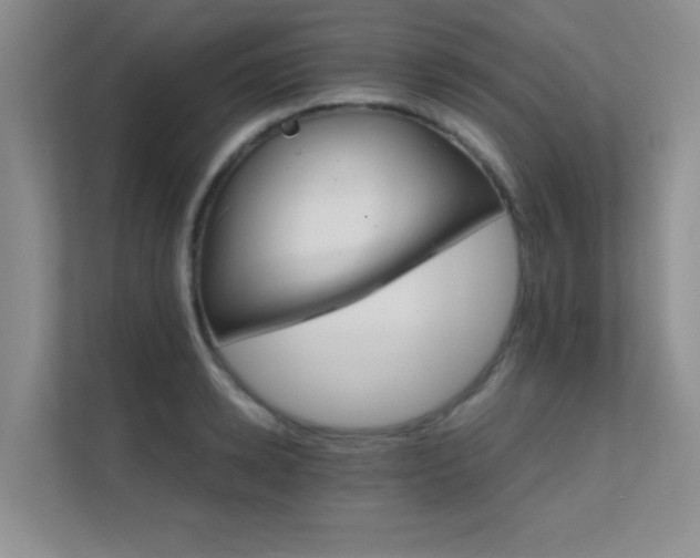 X0000112430942200908141428