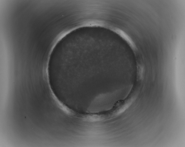 X0000112430943200908141428