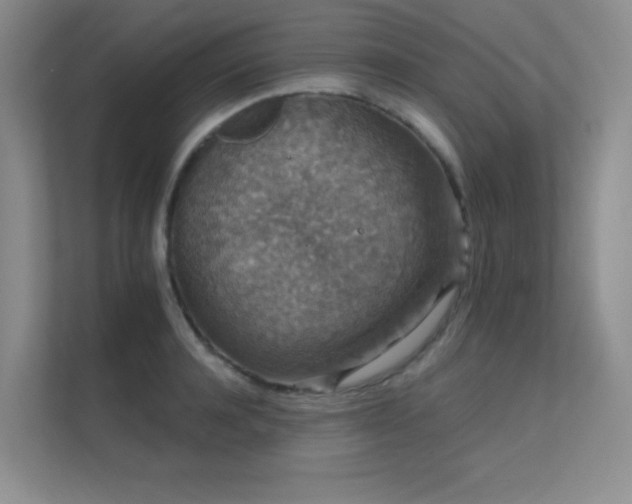 X0000112430944200908141428