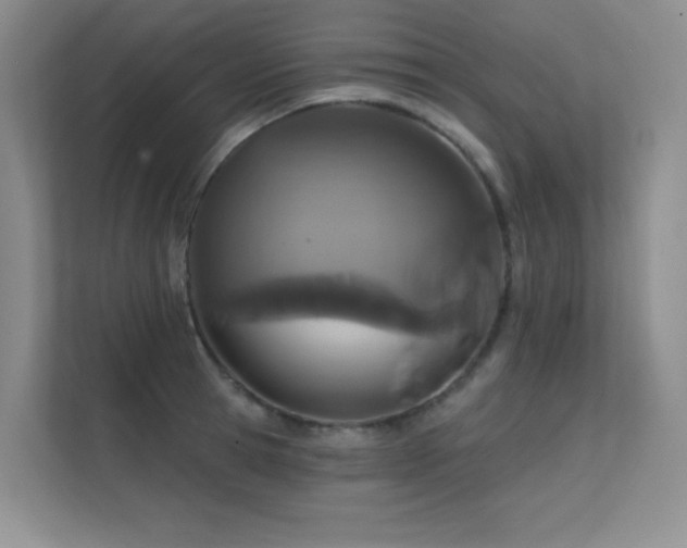 X0000112430945200908141428