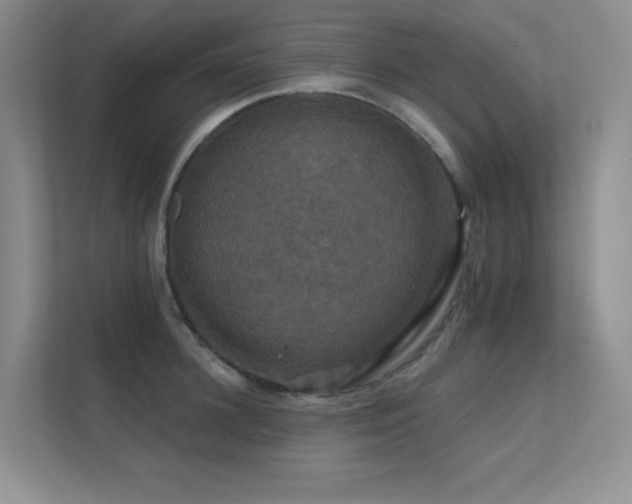 X0000112430948200908141428