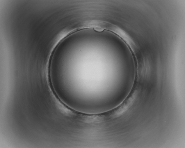 X0000112430949200908141428