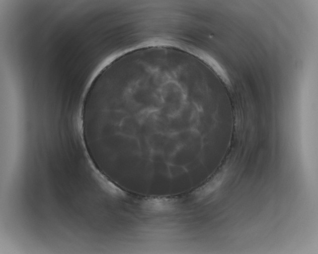 X0000112430950200908141428