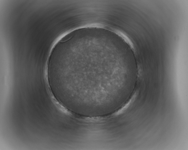 X0000112430952200908141428