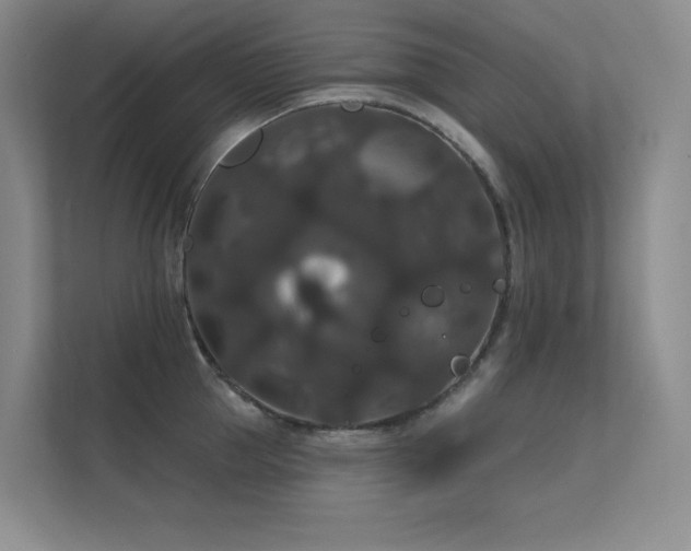 X0000112430953200908141428