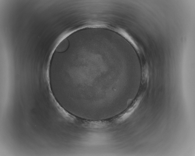 X0000112430959200908141428