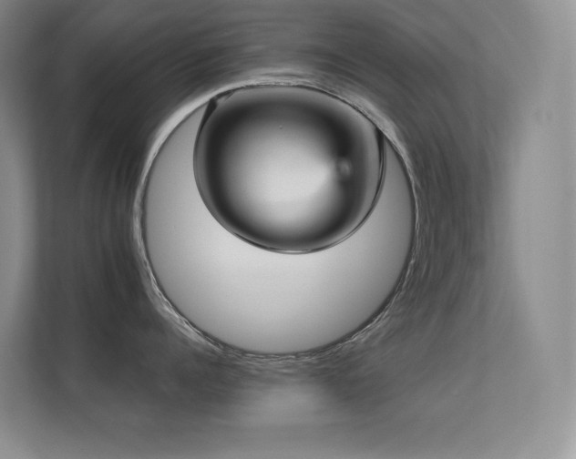 X0000112430960200908141428