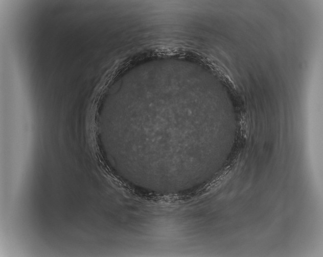 X0000112430961200908141428