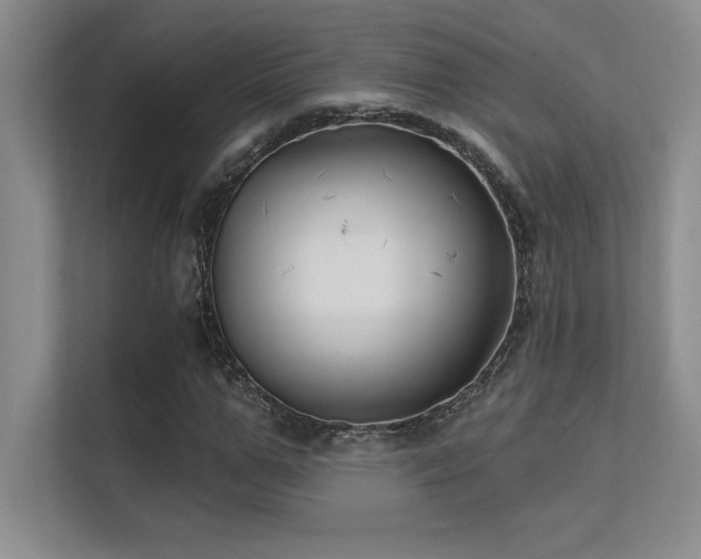 X0000112430967200908141428