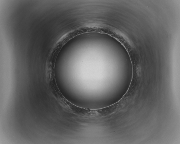 X0000112430968200908141428