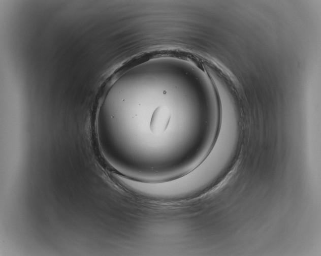 X0000112430969200908141428