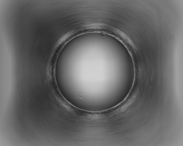 X0000112430970200908141427