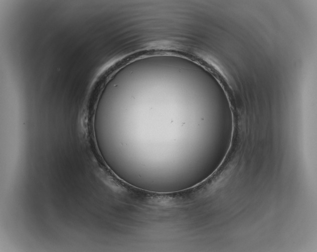 X0000112430971200908141427