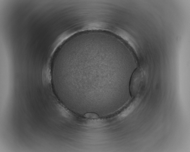 X0000112430973200908141427