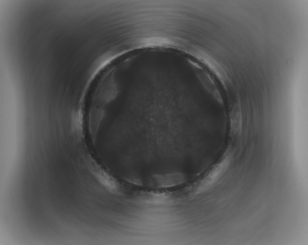 X0000112430975200908141427