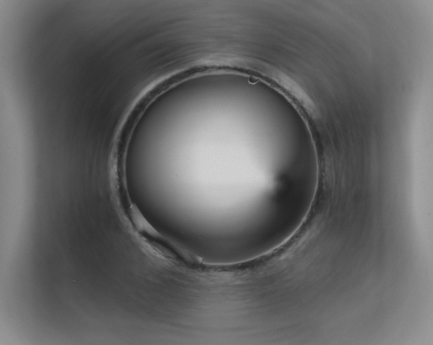 X0000112430976200908141427