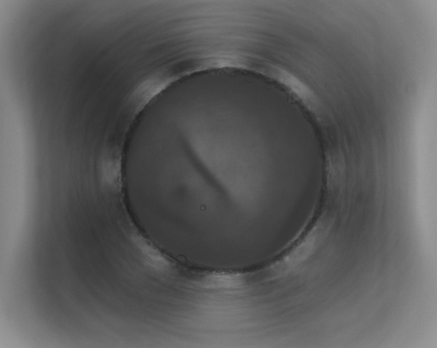X0000112430977200908141427