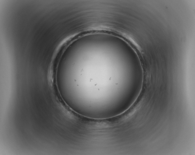 X0000112430979200908141427
