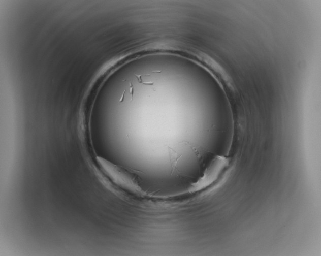 X0000112430981200908141427