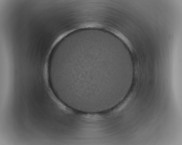 X0000112430983200908141427