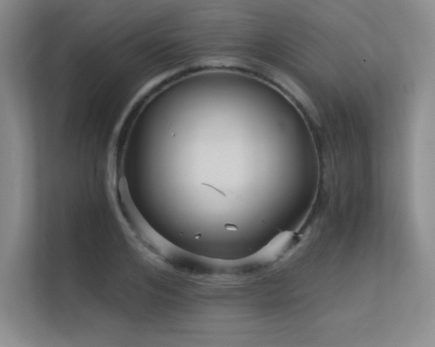 X0000112430984200908141427