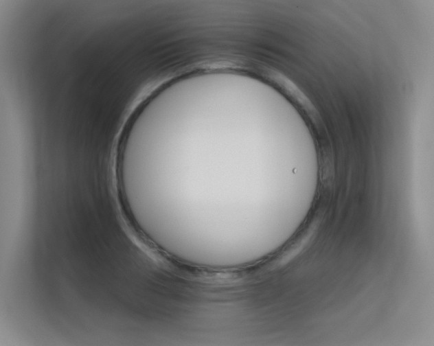 X0000112430986200908141427
