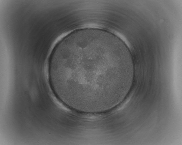 X0000112430987200908141427