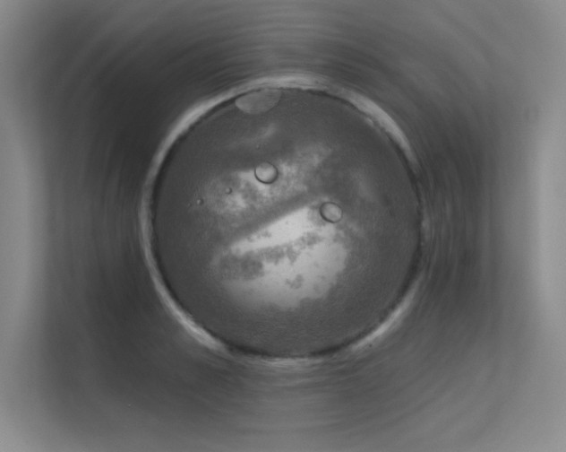 X0000112430989200908141427