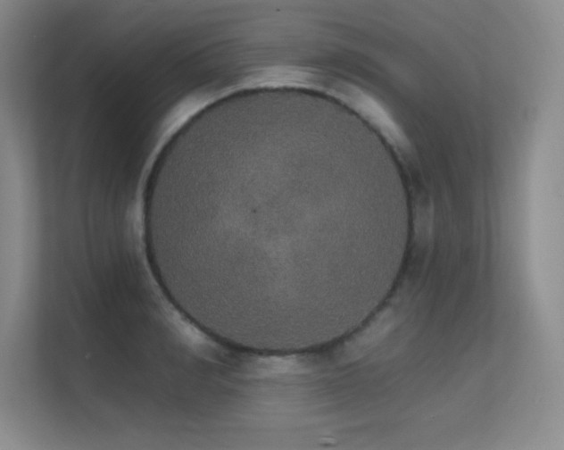 X0000112430990200908141427