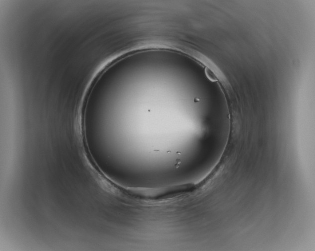 X0000112430996200908141427