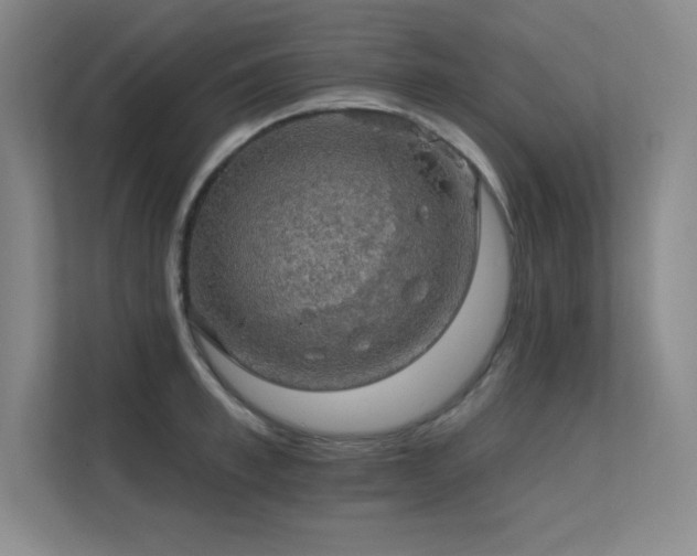 X0000112430997200908141427