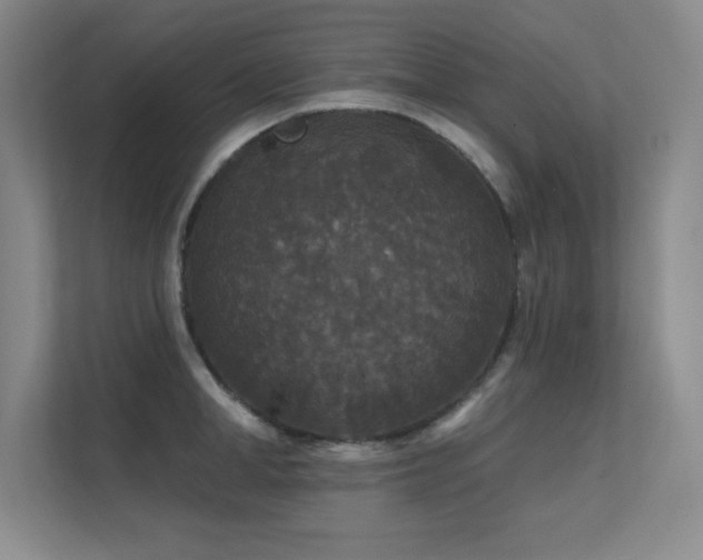 X0000112430998200908141427