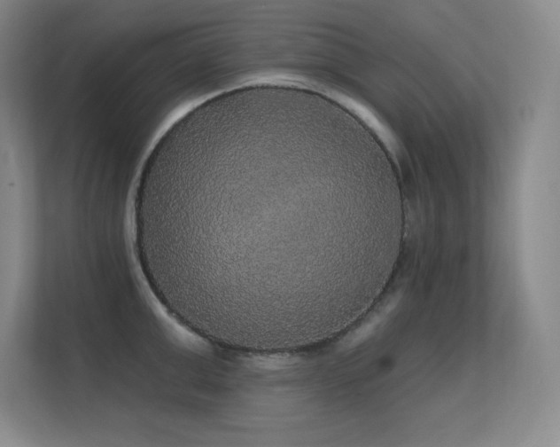 X0000112430999200908141427